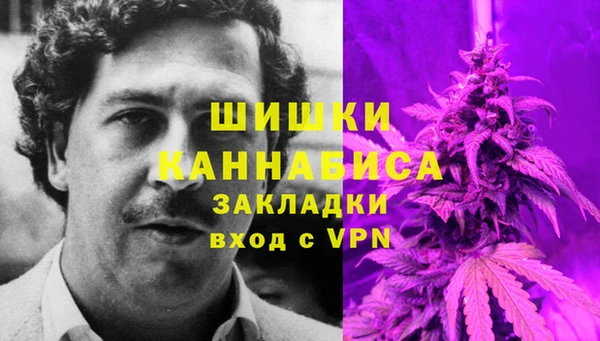 прущие крисы Балахна