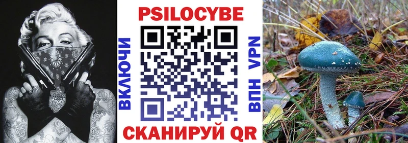 Галлюциногенные грибы Psilocybe  купить   Краснокаменск 